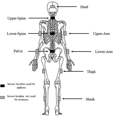 The Effect of Rifle Carriage on the Physiological and Accelerometer Responses During Biathlon Skiing